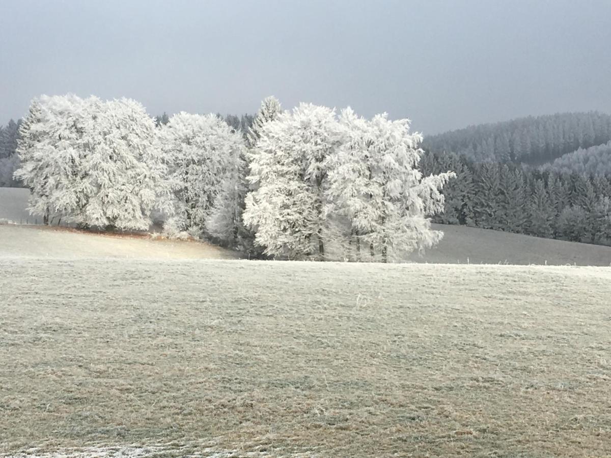 Ferienhaus Neuville In Ruhiger Lage Bullange/Büllingen Esterno foto